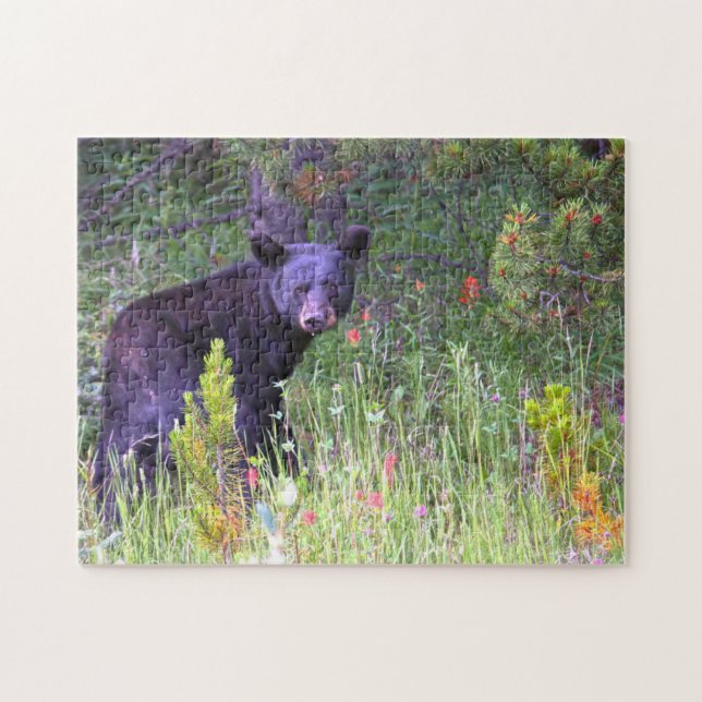Quebra-cabeça Ursos Negros Canadá. (Horizontal)