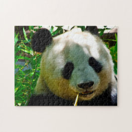 Quebra-cabeça Ursos Panda.