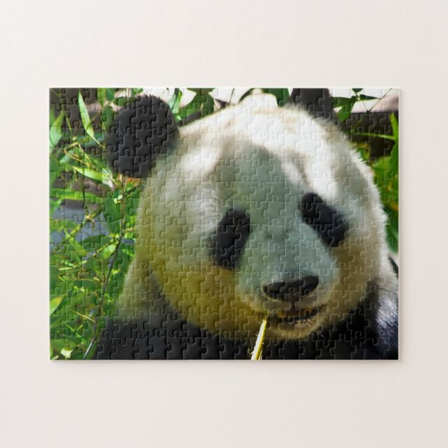 Quebra-cabeça Ursos Panda. (Horizontal)
