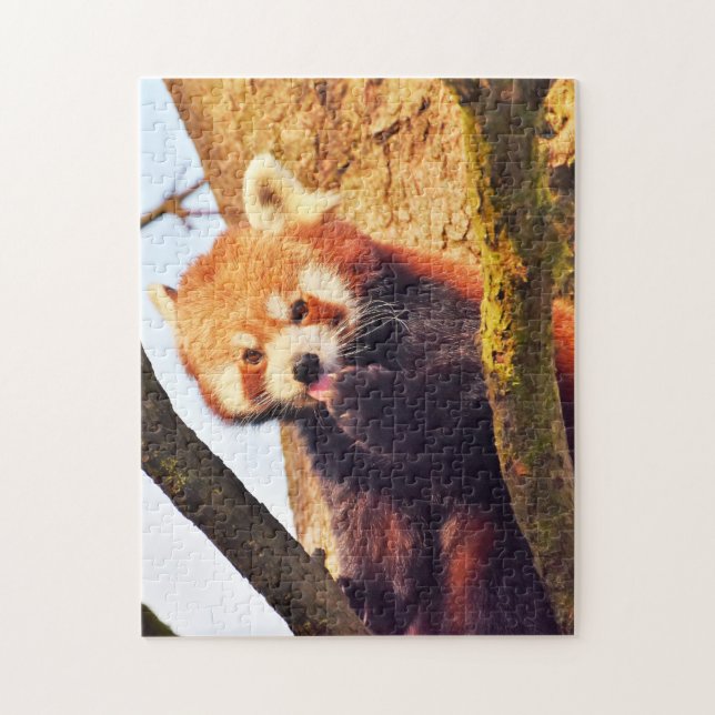 Quebra-cabeça Ursos-Panda Marrons. (Vertical)