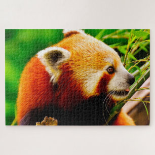 Quebra-cabeça Ursos Panda Vermelhos.