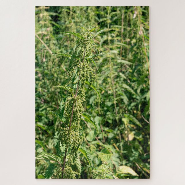 Quebra-cabeça Urtica dioica,  (Vertical)