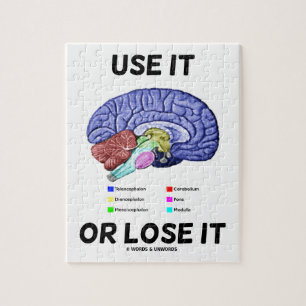 Quebra-cabeça Use Ou Perder (Conselhos Cerebrais Anatômicos)