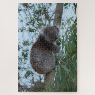 Quebra-cabeça ustralia Kangaroo Island Koala Tree, 1014 peças