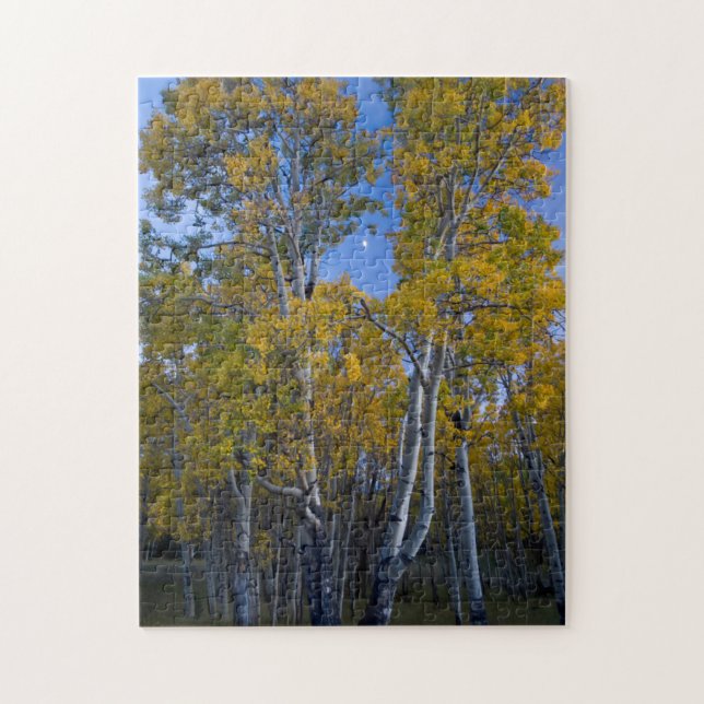 Quebra-cabeça Utah. EUA. Árvores de Aspen e Lua ao Crepúsculo (Vertical)