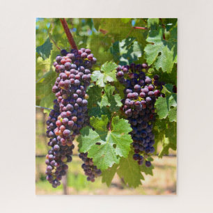 Quebra-cabeça Uvas
