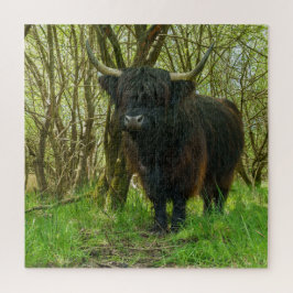 Quebra-cabeça Vaca Black Highland
