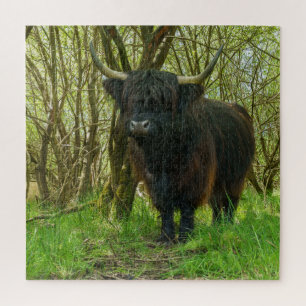 Quebra-cabeça Vaca Black Highland
