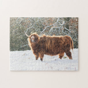Quebra-cabeça Vaca escocesa Highland na neve