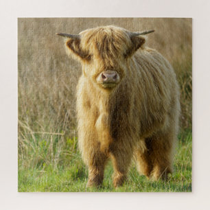 Quebra-cabeça Vaca Highland