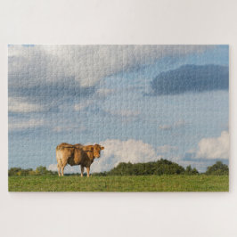 Quebra-cabeça vaca loira d'Aquitaine na região de Dordogne, Fran