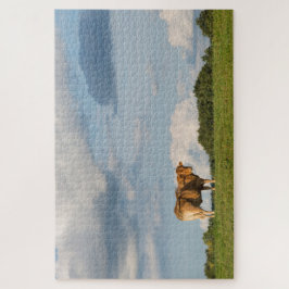 Quebra-cabeça vaca loira d'Aquitaine na região de Dordogne, Fran