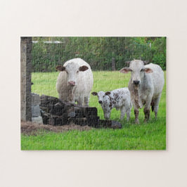 Quebra-cabeça Vaca-mãe e vitelo-Fazenda