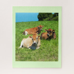 Quebra-cabeça Vacas do jérsei