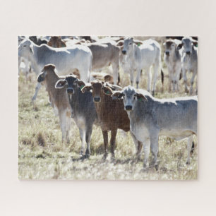 Quebra-cabeça Vacas do País
