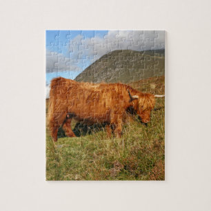Quebra-cabeça Vacas escocesas das montanhas - Scotland