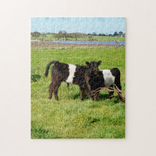 Quebra-cabeça Vacas Galloway De Cinto De Bebê No País,