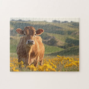 Quebra-cabeça Vacas leiteiras brancas, flores silvestres amarela