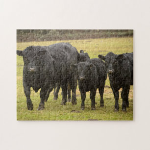 Quebra-cabeça Vacas na chuva