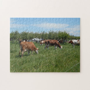 Quebra-cabeça Vacas Na Pastura