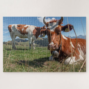 Quebra-cabeça Vacas suíças