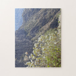 Quebra-cabeça Vale Montanhoso com Flores Silvestres Tranquilas