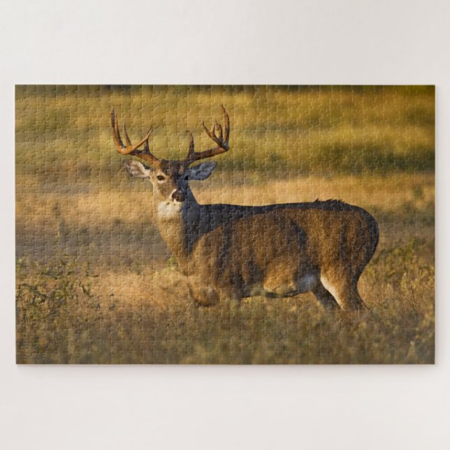 Quebra-cabeça Veado branco | Sul do Texas (Horizontal)