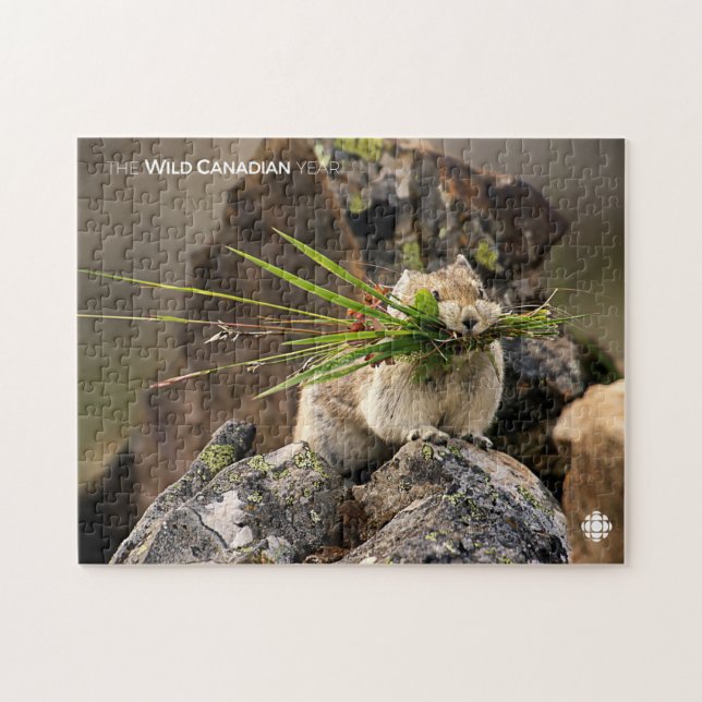 Quebra-cabeça Verão - América Latina (Horizontal)