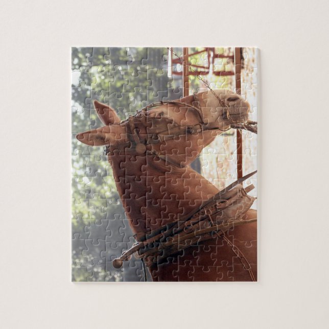 Quebra-cabeça vermelho da mula (Vertical)