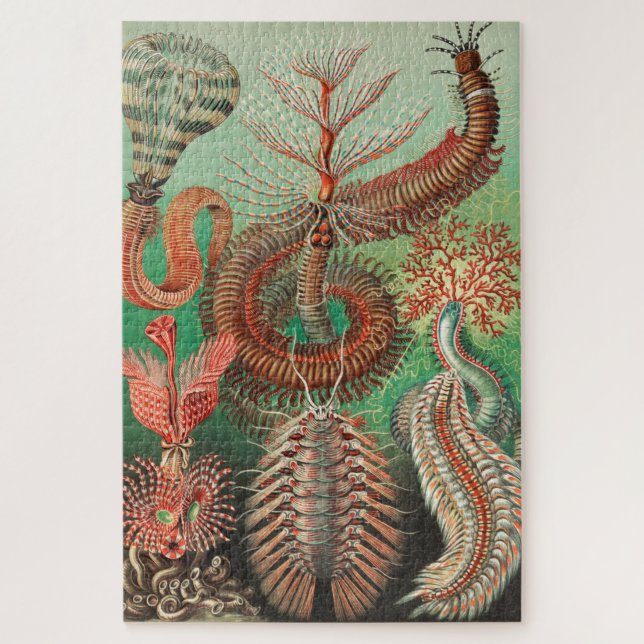Quebra-cabeça Vermes, Annelids Chaetopoda, por Ernst Haeckel (Vertical)