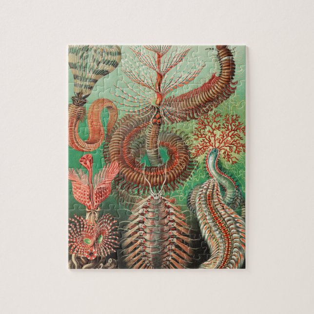 Quebra-cabeça Vermes, Annelids Chaetopoda por Ernst Haeckel (Vertical)