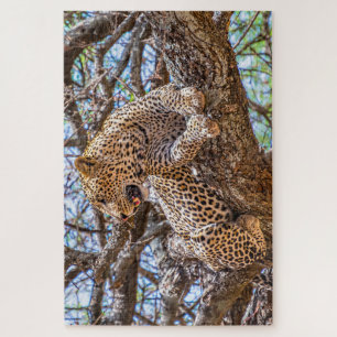 Quebra-cabeça Vida Selvagem Safari Leopardo Sentado Numa Árvore