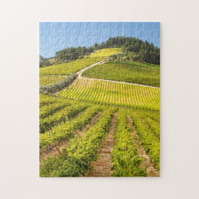 Quebra-cabeça Vineyard, Stellenbosch, Western Cape (Vertical)