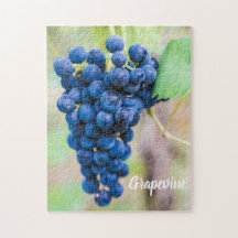 Vinha de uva para vinho e para vinho