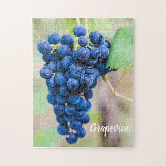 Quebra-cabeça Vinha de uva para vinho e para vinho (Vertical)