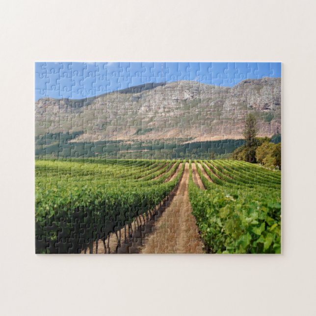Quebra-cabeça Vinhas da Propriedade Vinícola Groot Constantia (Horizontal)