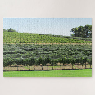 Quebra-cabeça vinhas de uva