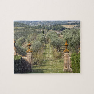 Quebra-cabeça Vinhas, Toscana, Itália