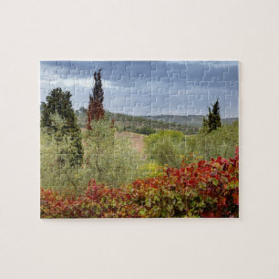 Quebra-cabeça Vinícola perto de Montalcino, Toscana, Itália