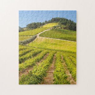 Quebra-cabeça Vinícola, Stellenbosch, Cabo Ocidental