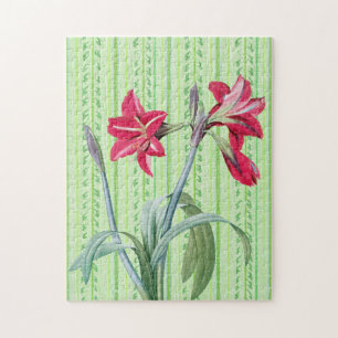 Quebra-cabeça Vintage Amaryllis Flower Retro Art