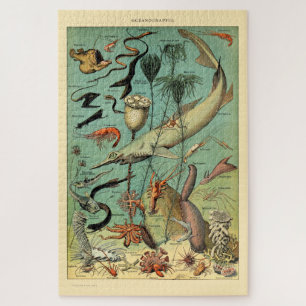 Quebra-cabeça Vintage Aquatic Life por Adolphe Millot