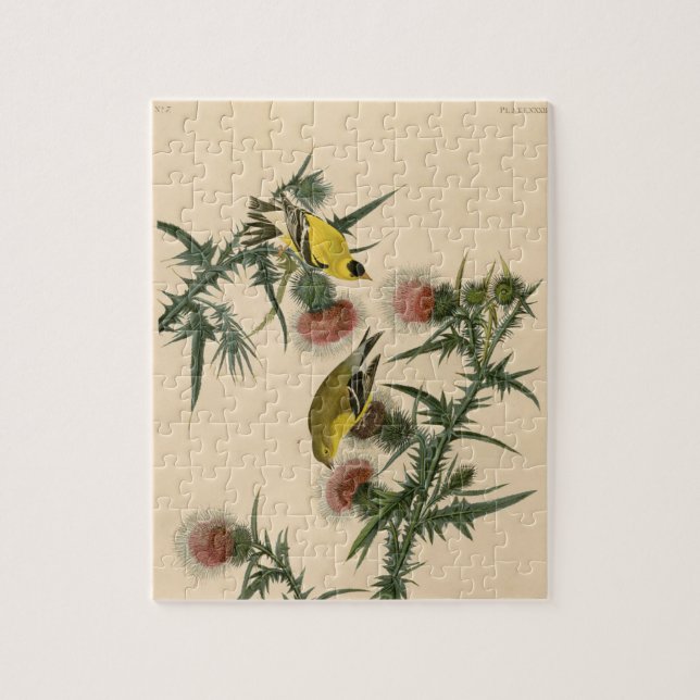 Quebra-cabeça Vintage Audubon American Goldfinch Pird (Vertical)