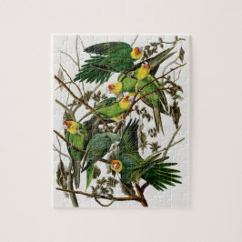 Quebra-cabeça Vintage Audubon Carolina Parakeet Bird Painting