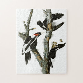 Quebra-cabeça Vintage Audubon Pica-pau-pau-marfim