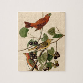 Quebra-cabeça Vintage Audubon Summer Tanager Pird Painting Gift