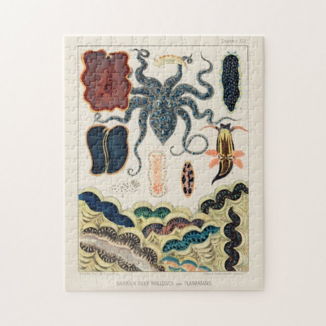 Quebra-cabeça Vintage Barrier Reef Molluses e Planários (Vertical)