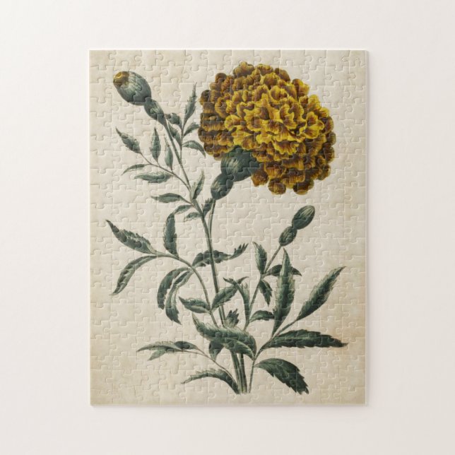 Quebra-cabeça Vintage Botanical Floral African Marigold (Vertical)