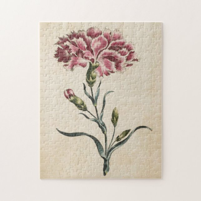 Quebra-cabeça Vintage Botanical Floral Carnação (Vertical)