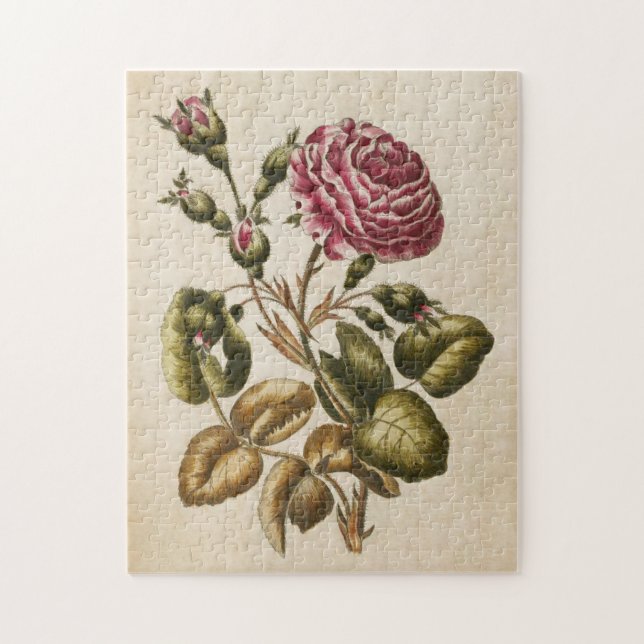 Quebra-cabeça Vintage Botanical Floral Rosa (Vertical)